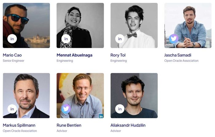 Nhóm Phát Triển Flux Protocol