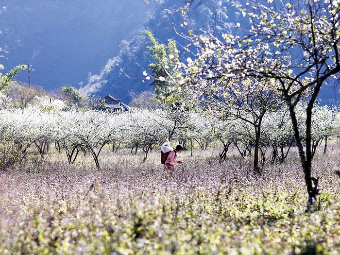 Lập kế hoạch trekking Mu Náu - Phiên Cành 2 ngày tự túc cho đội ngũ yêu thích Mộc Châu 13