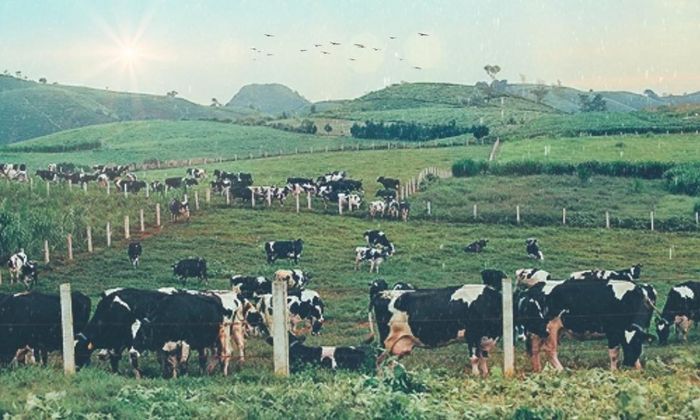 Gợi ý Lịch trình khám phá cao nguyên Mộc Châu 2N1Đ chi tiết số 8