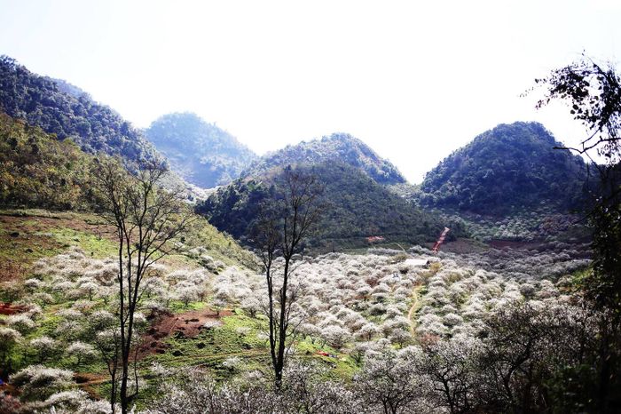 Kế hoạch tự túc trekking Mu Náu - Phiên Cành 2 ngày dành cho đội ngũ yêu thích Mộc Châu 11