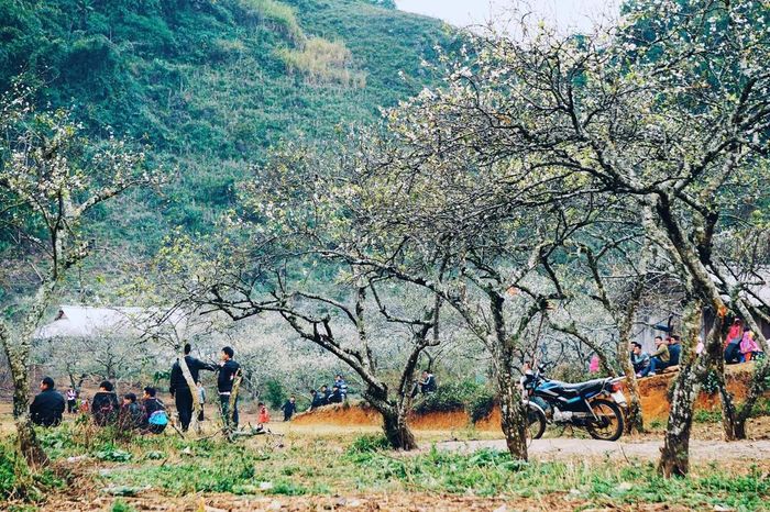 Hướng dẫn lịch trình trekking tại Mu Náu - Phiên Cành trong 2 ngày tự túc cho nhóm yêu thích Mộc Châu