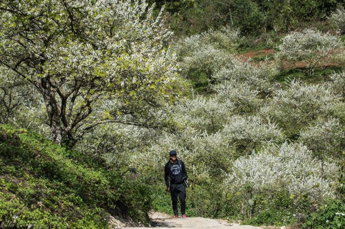 Kế hoạch tự túc trekking Mu Náu - Phiên Cành 2 ngày dành cho đội ngũ yêu thích Mộc Châu 10