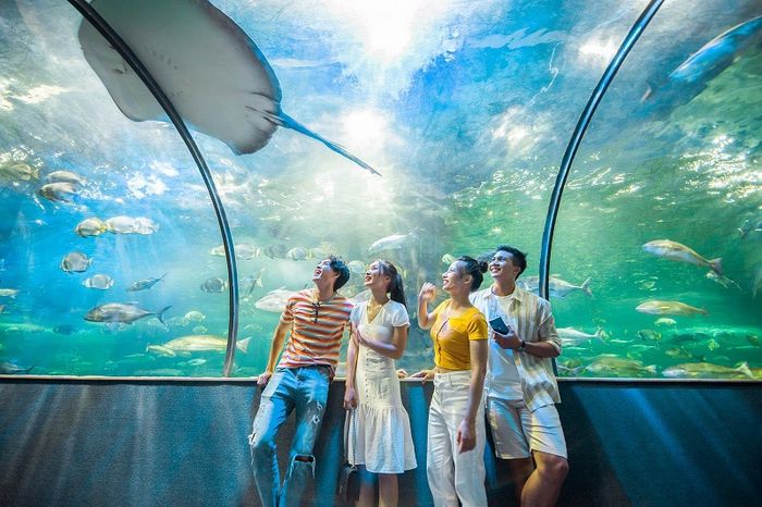 VinWonders Nha Trang - Nơi bạn có thể thỏa sức trải nghiệm những điều thú vị.