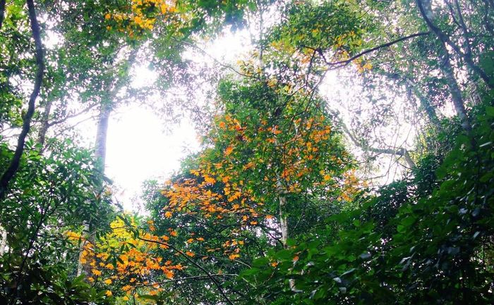 Bí quyết khám phá Pha Luông Mộc Châu cho những người đam mê du lịch 4