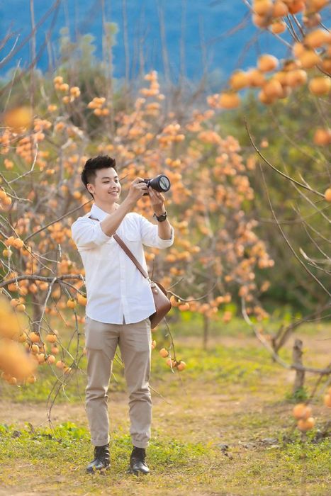 Mùa hồng chín tại Mộc Châu, món quà đặc biệt từ vùng cao nguyên đậm tình 5