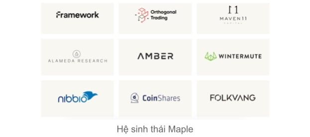 Hệ sinh thái của Maple