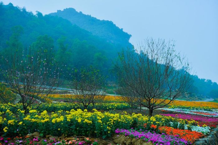 Lễ hội du xuân Ninh Bình tại những điểm tham quan danh tiếng 2