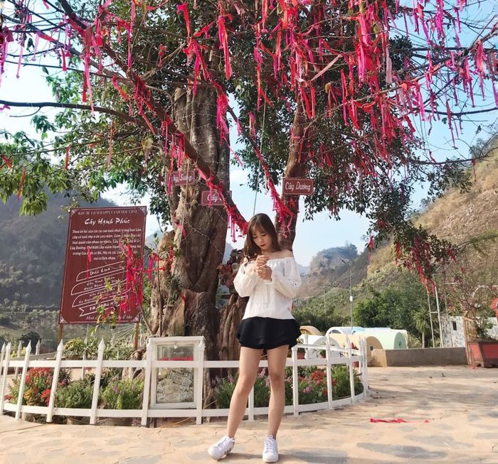Đánh giá chuyến đi Mộc Châu 2 ngày 1 đêm cùng blogger Phương Anh 4