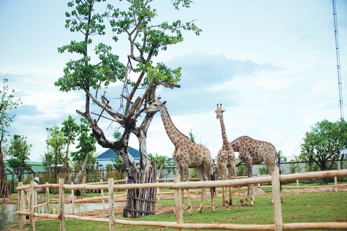 VinWonders Nha Trang - Nơi bạn có thể thỏa sức trải nghiệm những điều thú vị.