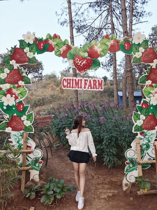 Đánh giá chuyến đi Mộc Châu 2 ngày 1 đêm cùng blogger Phương Anh 5