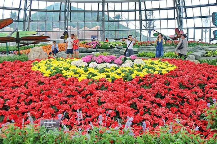 VinWonders Nha Trang - Nơi bạn có thể thỏa sức trải nghiệm những điều thú vị.