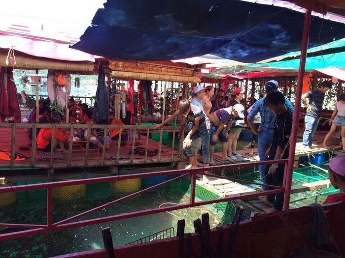 Mùa hè tuyệt vời tại Bãi Đại Lãnh Nha Trang 13