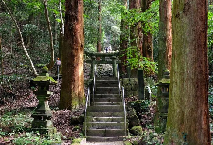 Oita - thiên đường của những suối nước nóng tự nhiên tại Nhật Bản 8