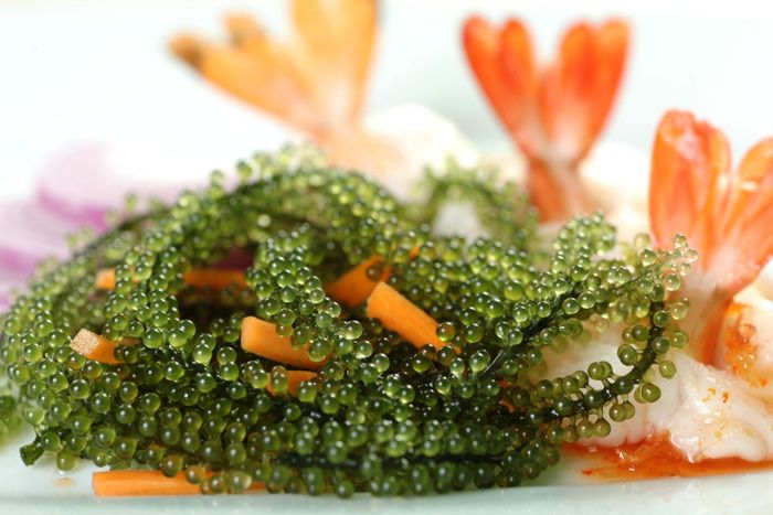Top 15 món đặc sản Nha Trang cực chất