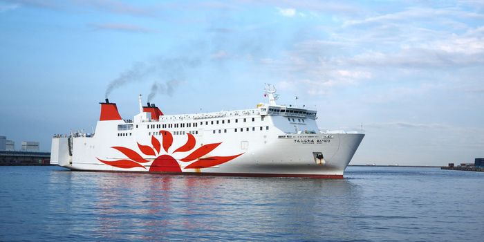 Oita - thiên đường của những suối nước nóng tự nhiên tại Nhật Bản 4