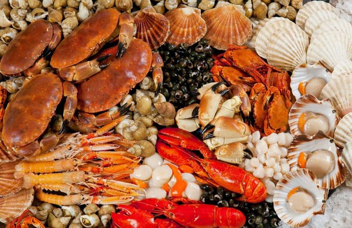 Du lịch Biển Cà Ná và những điều thú vị bạn cần biết 7