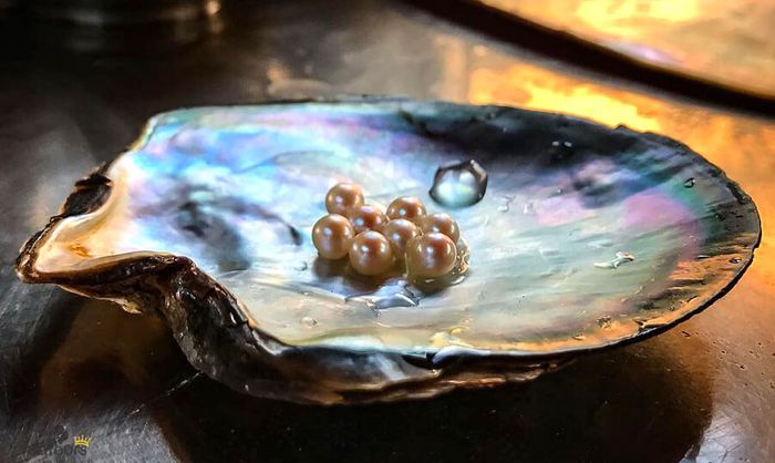 Gợi ý lịch trình tham quan Phú Quốc trong một ngày 8