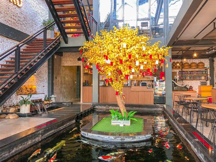 Hãy ghé thăm Min Bistro café để ngắm nhìn vẻ đẹp tuyệt vời của hồ cá Koi