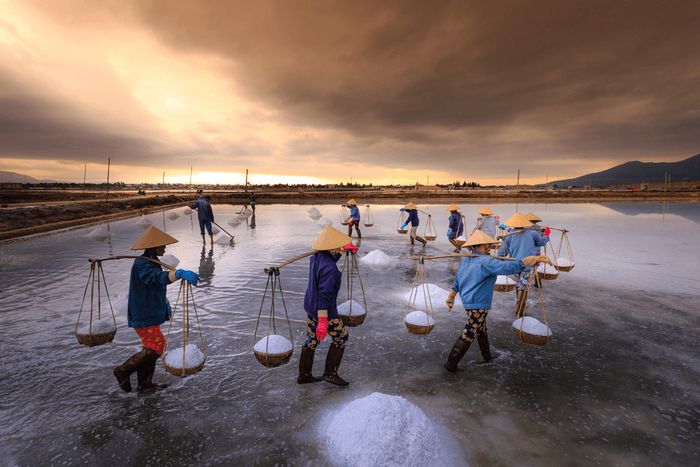 Cánh đồng muối Đầm Vua, 'cánh đồng tuyết trắng' giữa bầu trời Ninh Thuận 6