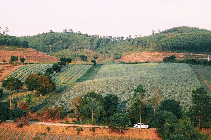 Khám phá Ninh Bình cùng Mytour.vn - phần 12