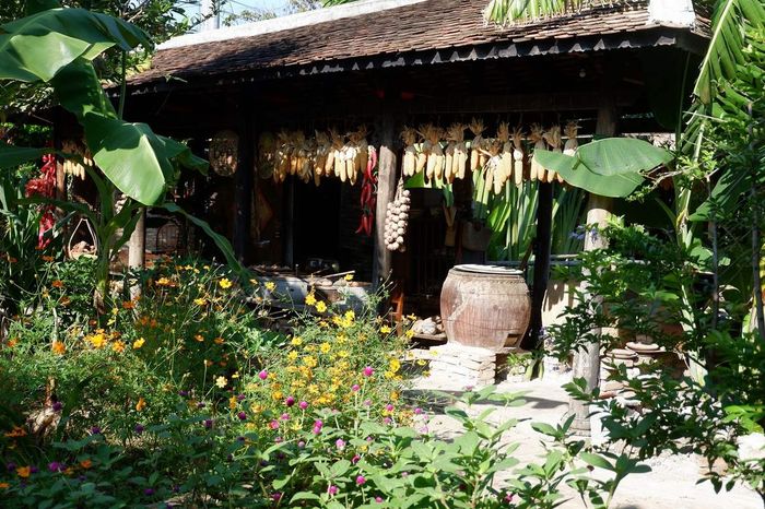 Hoài niệm trong không gian văn hóa - ẩm thực tại nhà hàng Nha Trang Xưa 6