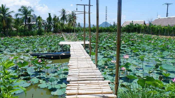Kỷ niệm trong không gian văn hóa - ẩm thực tại nhà hàng Nha Trang Xưa 4