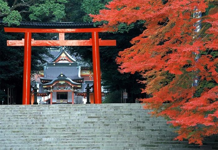 Kagoshima, nơi hòa mình vào vẻ đẹp yên bình và sức mạnh của thiên nhiên 10