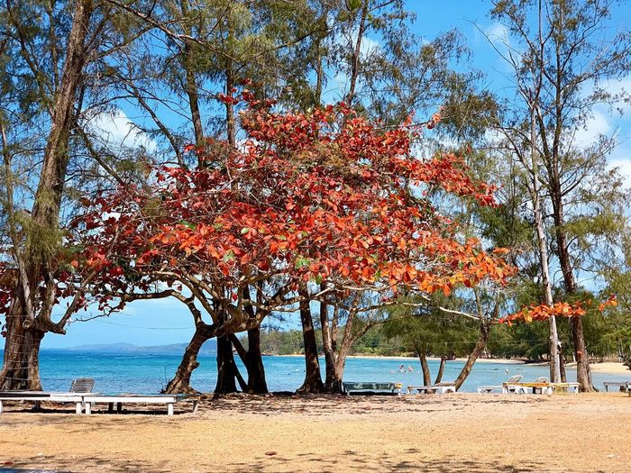 Bãi biển Ông Lang Phú Quốc – Phiên bản Việt của Maldives trên đảo Ngọc 20