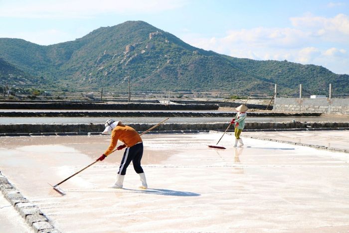 Cánh đồng muối Đầm Vua, 'đồng tuyết trắng' giữa bầu trời Ninh Thuận 3