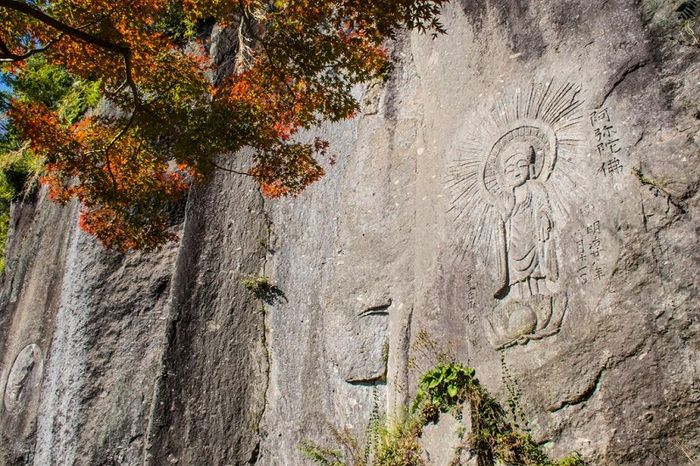 Kagoshima, nơi hòa mình vào vẻ đẹp hoang sơ của thiên nhiên mạnh mẽ 7