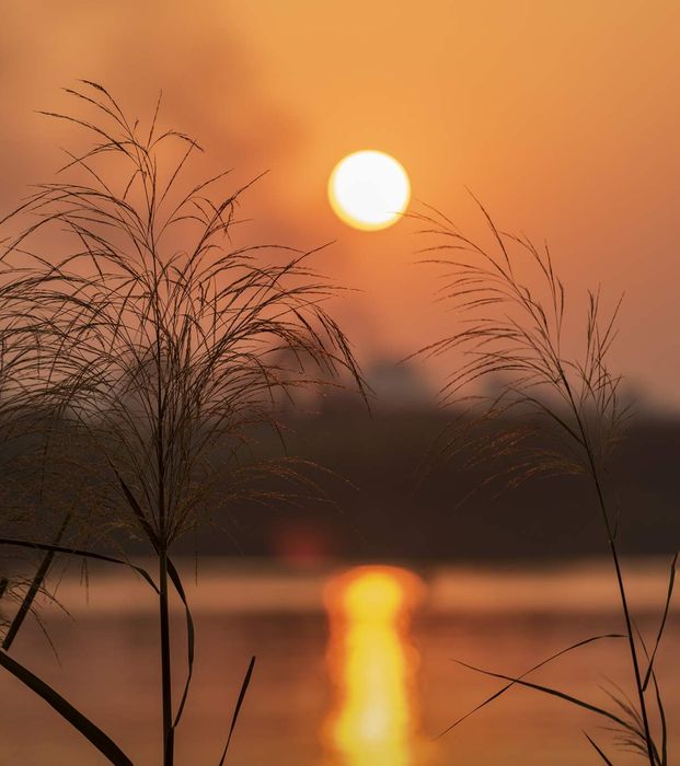 Hãy trải nghiệm cảm giác tuyệt vời của việc săn lùng ánh hoàng hôn tại Ninh Bình và khám phá những điều đặc biệt nhé!