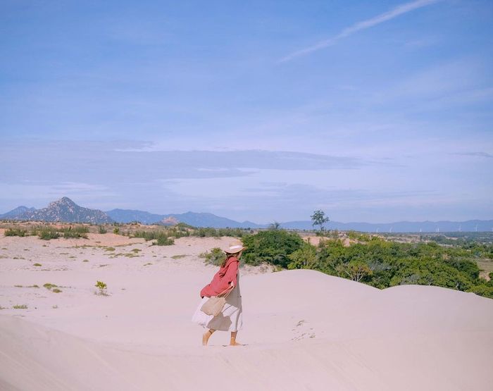 Khám phá vẻ đẹp của Mũi Dinh Ninh Thuận, nơi lưu giữ những cảnh đẹp tuyệt vời
