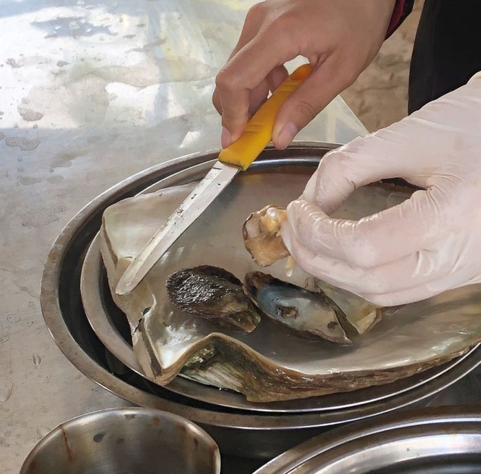 Gợi ý lịch trình tham quan Phú Quốc trong một ngày 9
