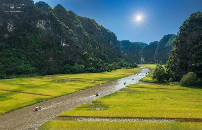 Tự hào với biểu tượng 'Sắc vàng Tam Cốc', lá cờ lúa lớn nhất Việt Nam 2