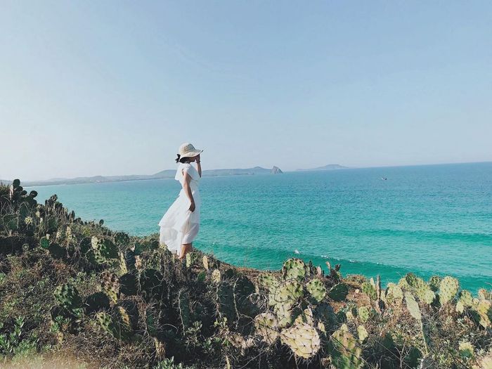 Vẻ đẹp không gì sánh bằng của bãi biển Tuy Hòa Phú Yên 6