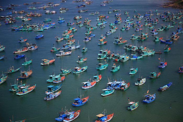 Thưởng ngoạn toàn cảnh Phú Quốc từ trên cao khi đi cáp treo Hòn Thơm