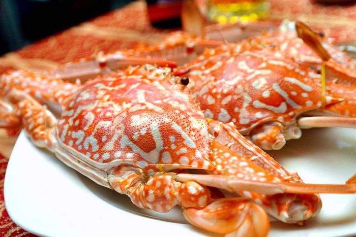 Để Đầm Cù Mông Phú Yên truyền đạt đến những người đang bận rộn một chút bình yên giữa không gian non nước