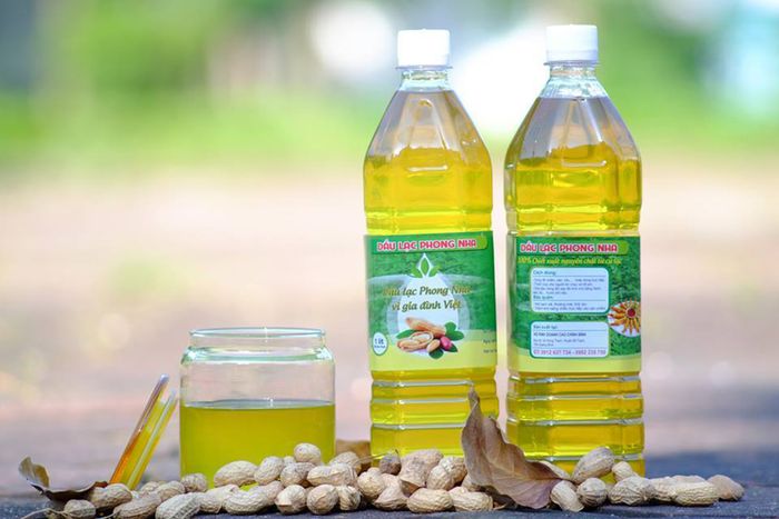 Gợi ý Kế hoạch Du lịch Quảng Bình 4 Ngày 3 Đêm khởi hành từ Sài Gòn 8