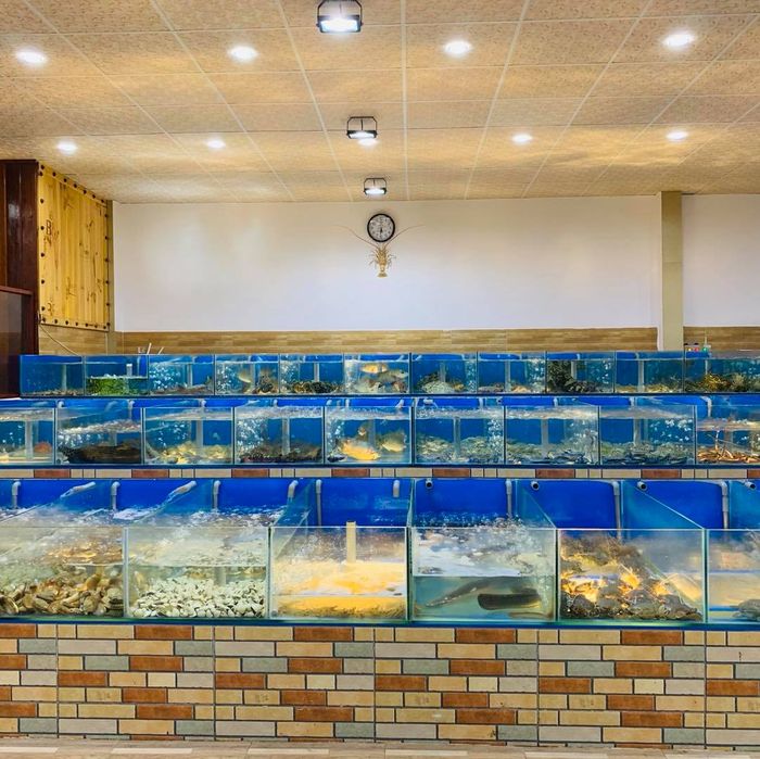 Chúc Xíu Restaurant Phú Yên - Nơi thưởng thức hải sản tươi ngon bên bờ biển rộng lớn