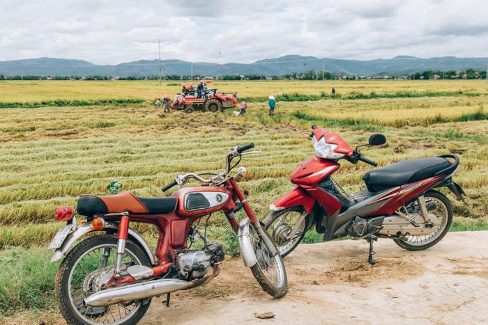 Trải qua một ngày lang thang ở Phú Yên, bạn sẽ bị cuốn hút vào vẻ đẹp hoang sơ của thiên nhiên lần nữa