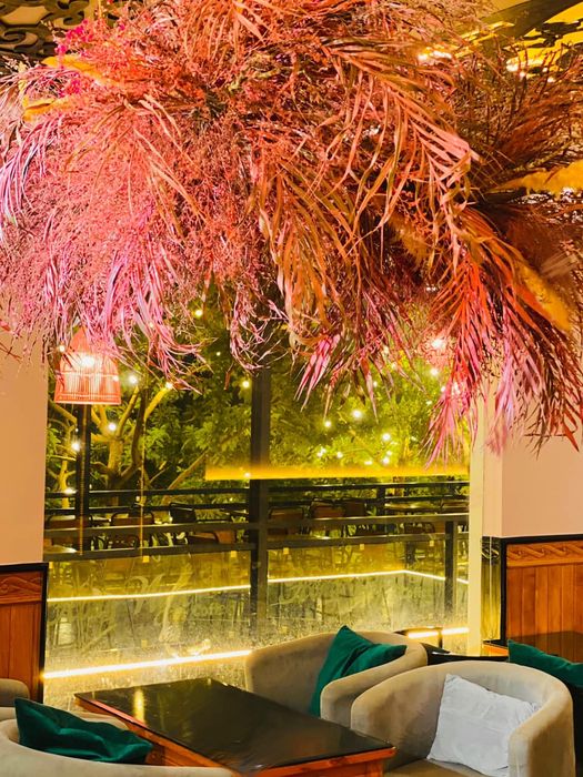 Chẳng Cần Phải Đi Xa, Chỉ Cần Ghé Quán Cà Phê Hồng Ngọc Phú Yên Là Đã Phải Yêu Ngay Từ Cái Nhìn Đầu Tiên