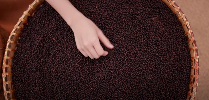 Khám phá vẻ đẹp dịu dàng của Phú Quốc hoang sơ cùng với nàng thơ Helly Tống 11