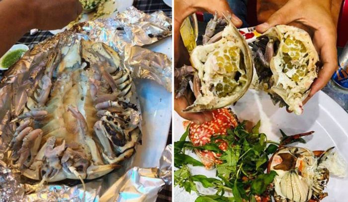Khám phá hương vị ngon khó cưỡng của bọ biển Phú Yên đằng sau hình dạng độc đáo của nó.