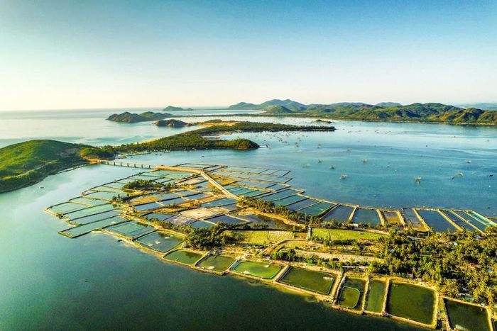 Để Đầm Cù Mông Phú Yên chuyển đến những người đang bận rộn chút bình yên non nước