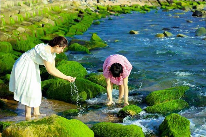 Kế hoạch khám phá Phú Yên trong vòng 24 giờ tự túc dành cho những người luôn bận rộn 3