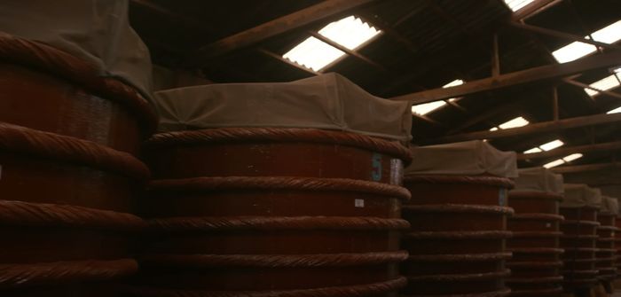 Khám phá vẻ đẹp dịu dàng của Phú Quốc hoang sơ cùng với nàng thơ Helly Tống 9