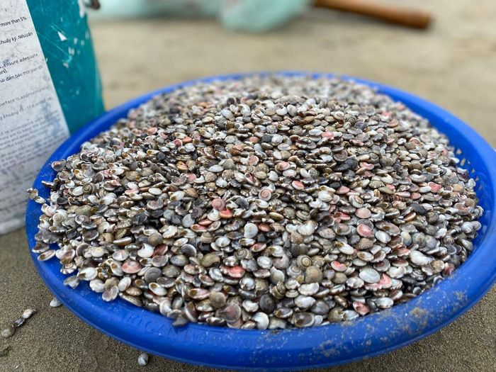 Top 3 quán ốc ruốc Quảng Bình không thể bỏ qua khi du lịch