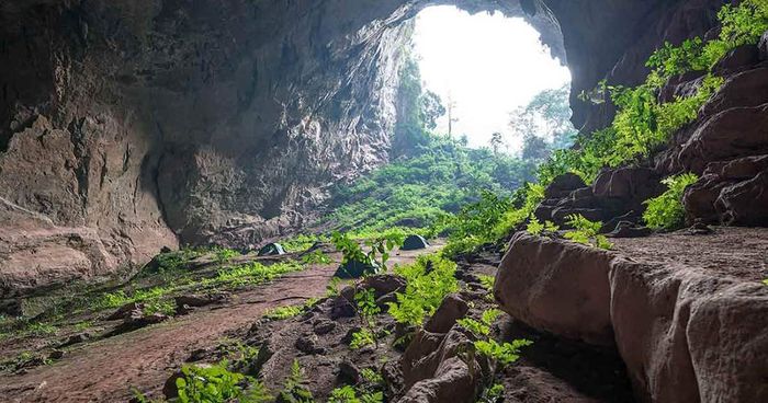 Gợi ý kế hoạch du lịch hang Hổ Quảng Bình 3 ngày 2 đêm tuyệt vời nhất