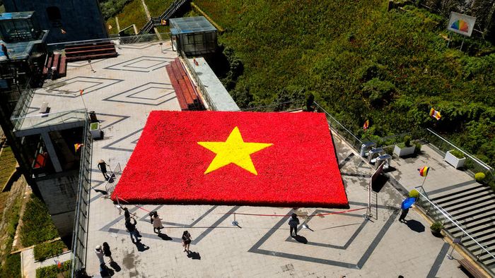 Mùa vàng tại Fansipan tỏa sáng giữa vẻ đẹp tự nhiên của Lào Cai 4