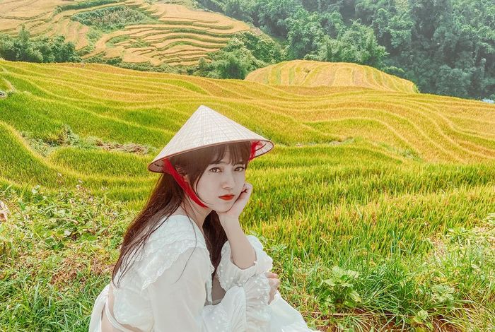 Đề xuất kế hoạch ngắm ruộng lúa ở Sapa, với vẻ đẹp tuyệt vời, đơn giản nhưng ấn tượng